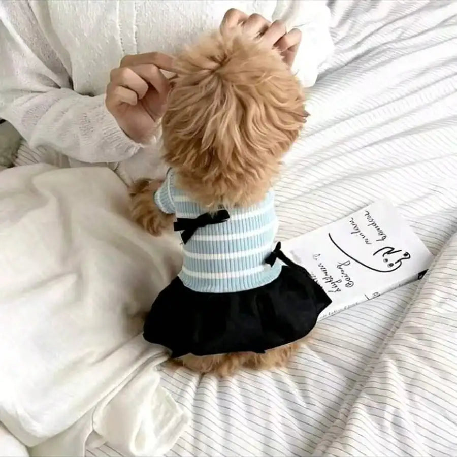 Small Dog Striped Casual Dress Lightweight Fabric For Warm Days