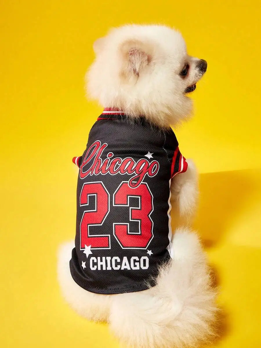 Mexican National Team Style Pet Jersey With English Number Print