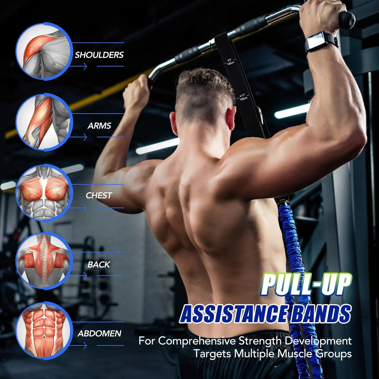 Heavy Duty Pull Up Assist Bands 4x80lbs With Wide Footplate