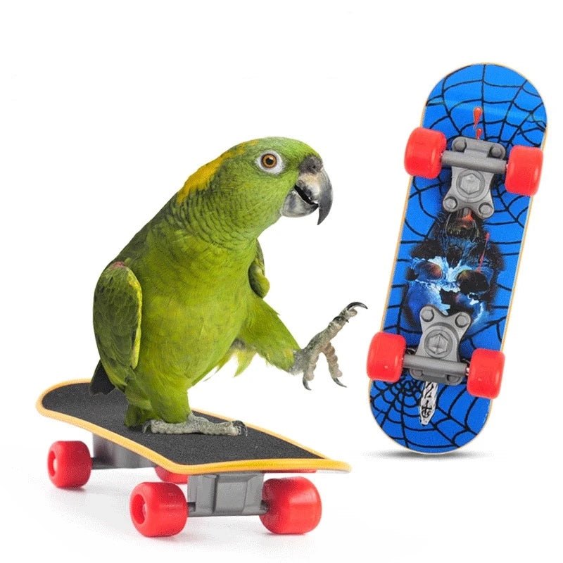 Bird Training Skateboard Perch For Parrots Canaries Lovebirds Calopsita