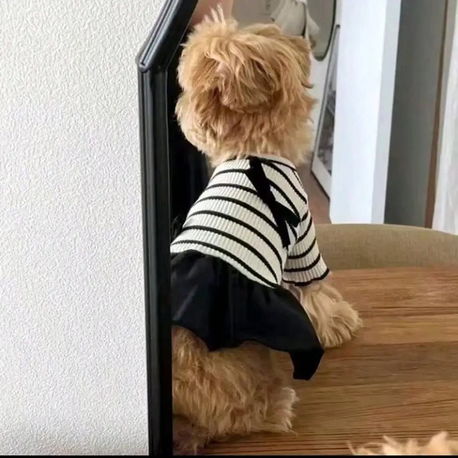 Small Dog Striped Casual Dress Lightweight Fabric For Warm Days