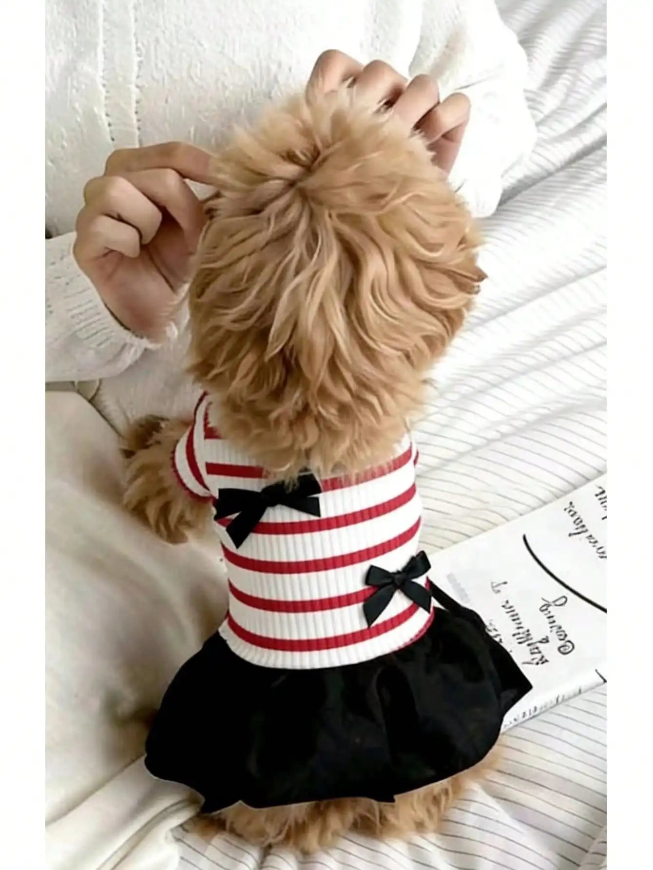Small Dog Striped Casual Dress Lightweight Fabric For Warm Days