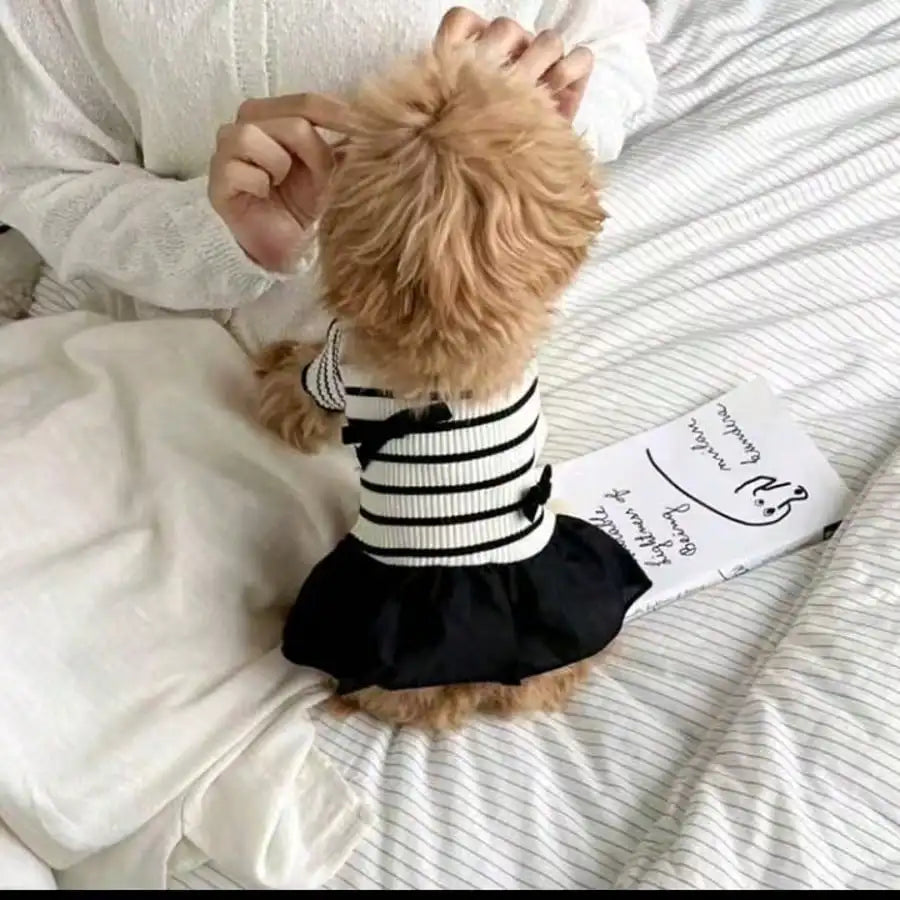 Small Dog Striped Casual Dress Lightweight Fabric For Warm Days