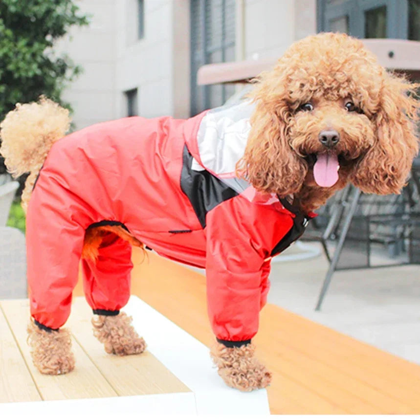Transparent Hooded Dog And Cat Raincoat Waterproof Jacket