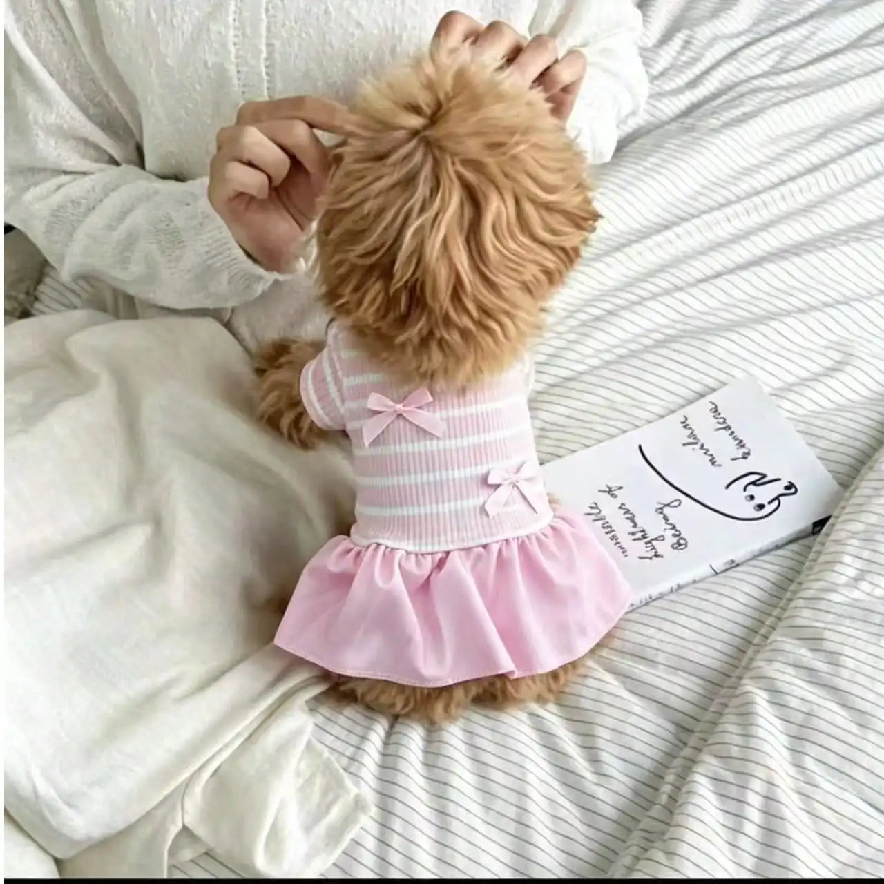 Small Dog Striped Casual Dress Lightweight Fabric For Warm Days