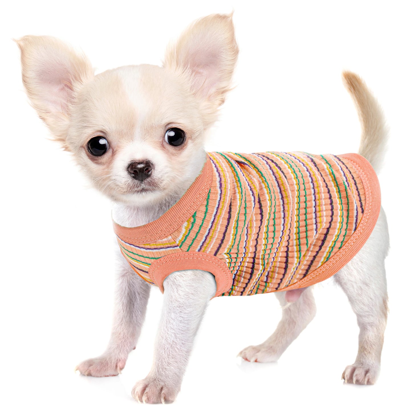 Rib Knit Dog Shirt Vest For Small Dogs And Puppies