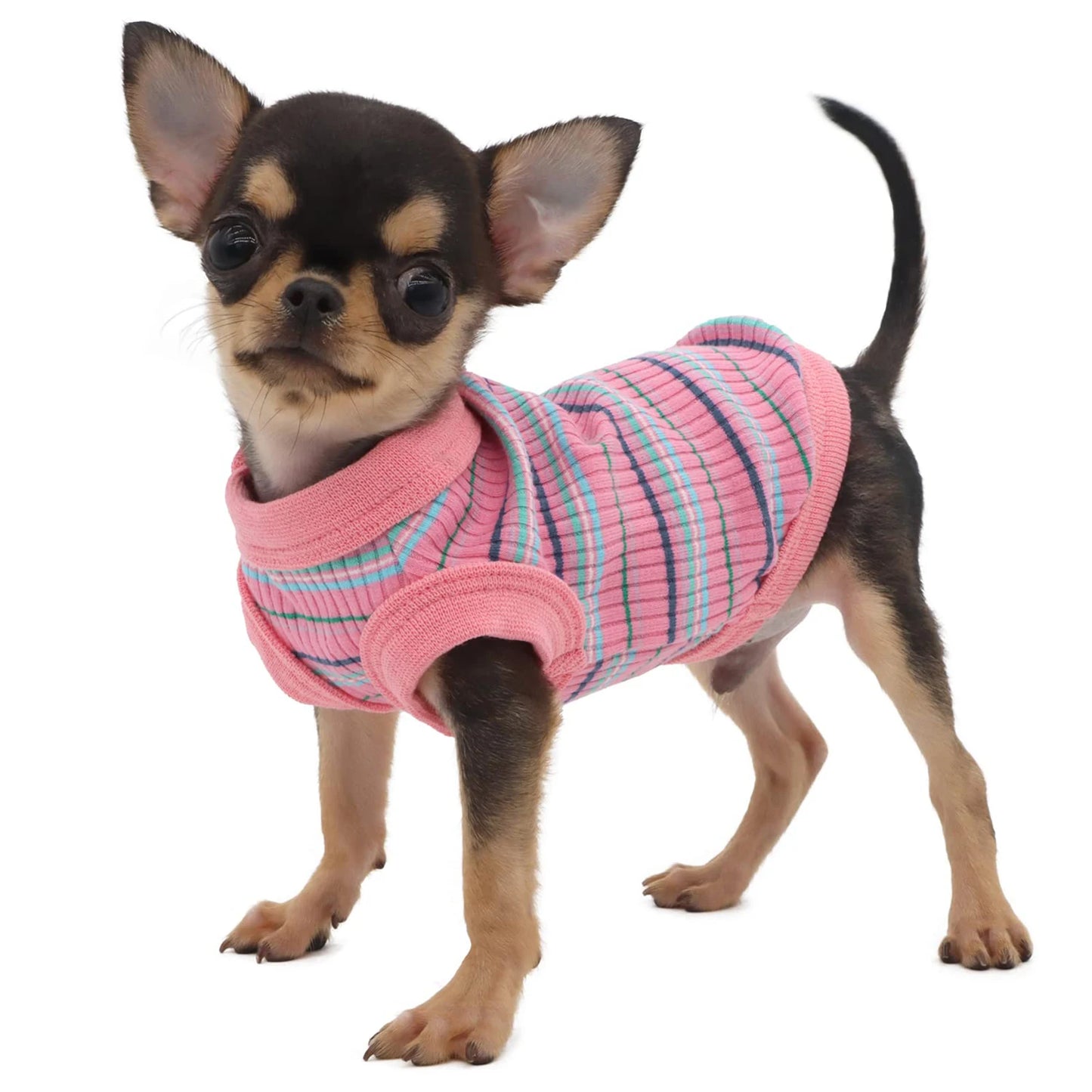 Rib Knit Dog Shirt Vest For Small Dogs And Puppies