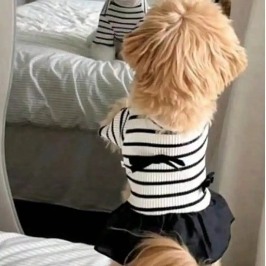 Small Dog Striped Casual Dress Lightweight Fabric For Warm Days