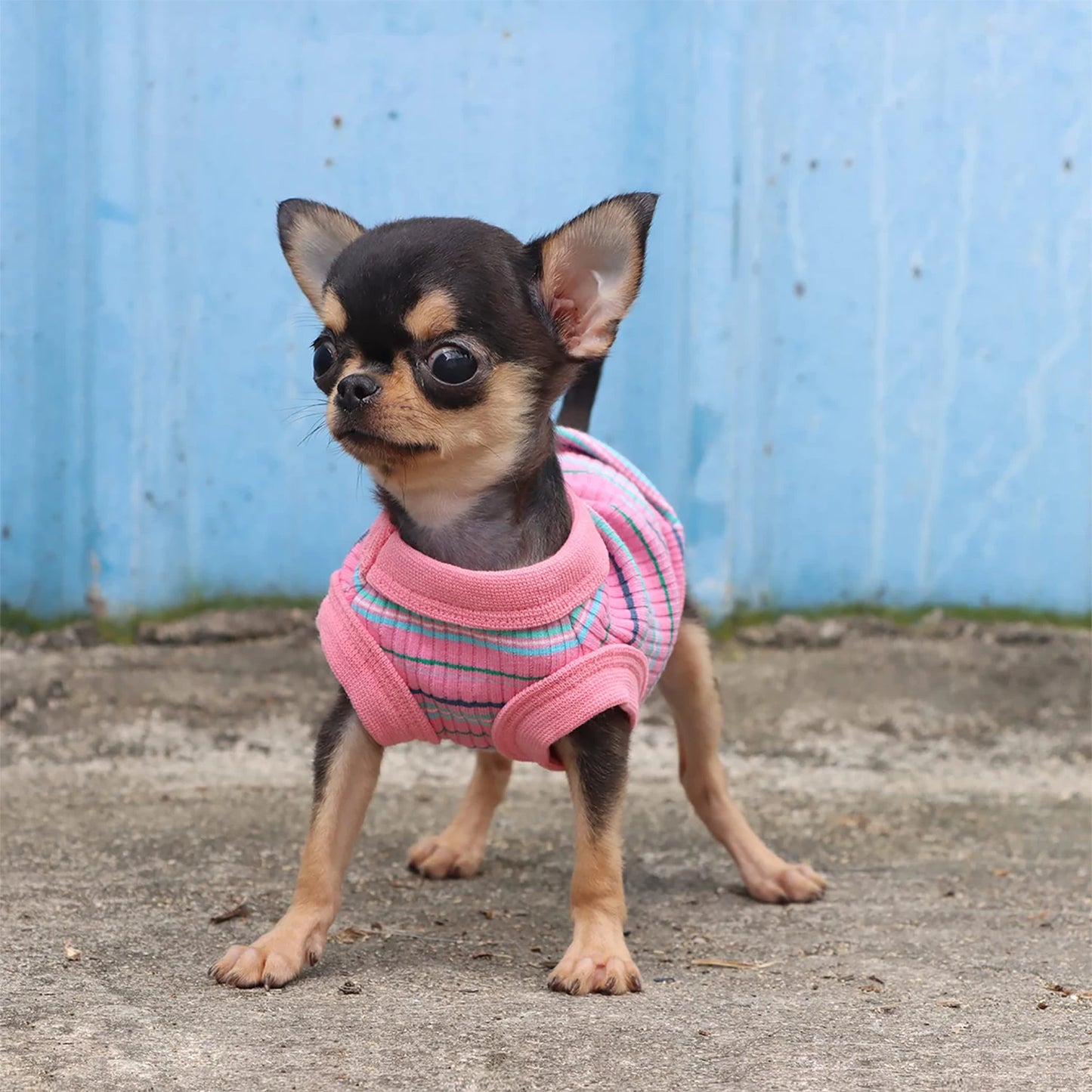 Rib Knit Dog Shirt Vest For Small Dogs And Puppies