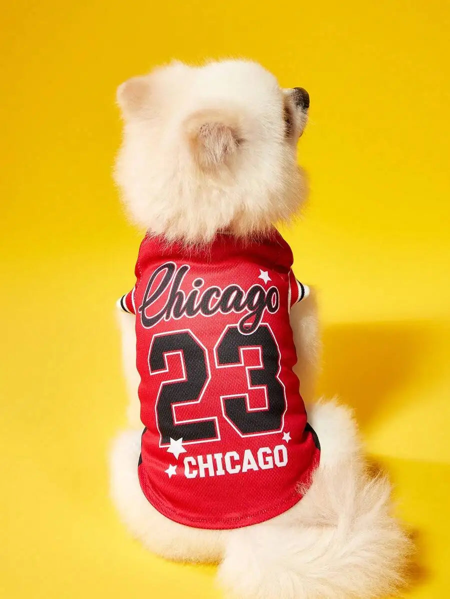 Mexican National Team Style Pet Jersey With English Number Print