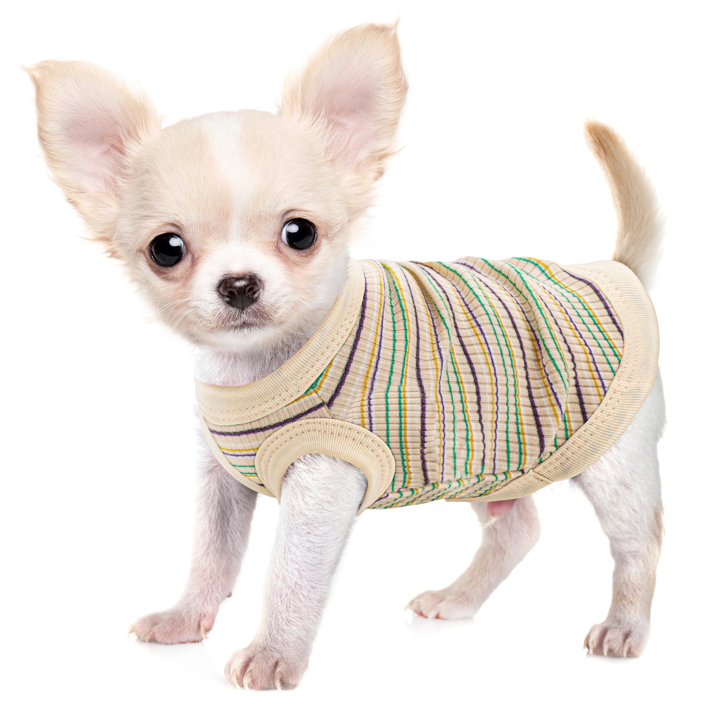 Rib Knit Dog Shirt Vest For Small Dogs And Puppies